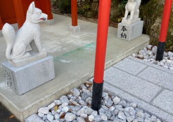 豊岡市　H様　きつね